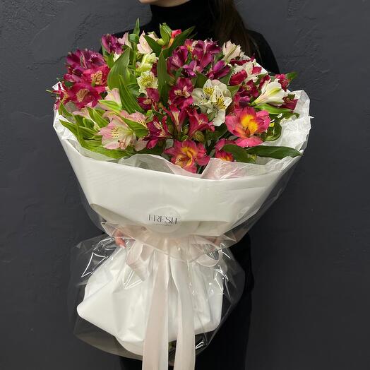 Alstroemeria