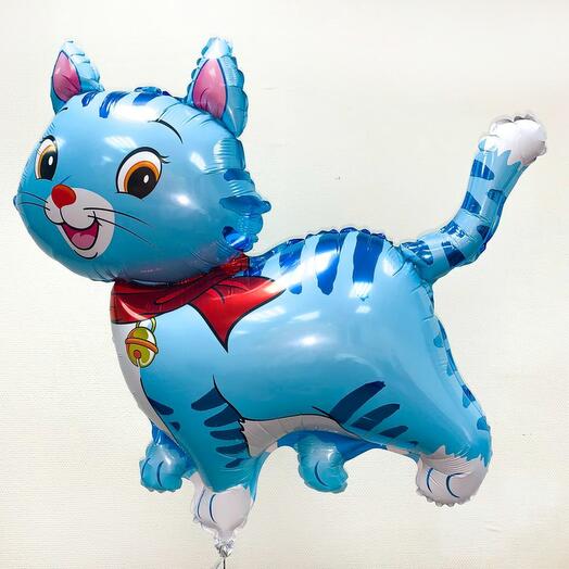 Шар Кот