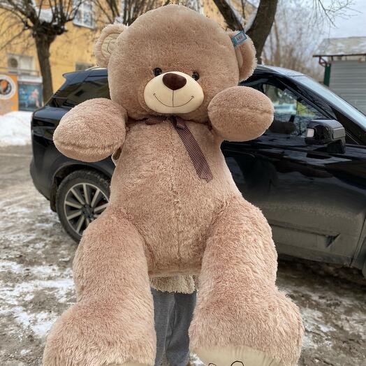 Мишка гигант