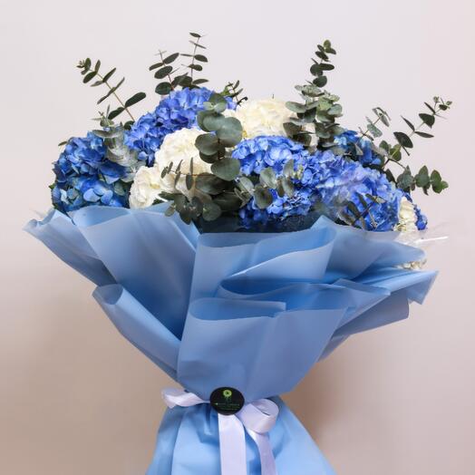 Blue Beauty Hydrangea Green and White