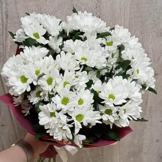 Ромашковое  поле