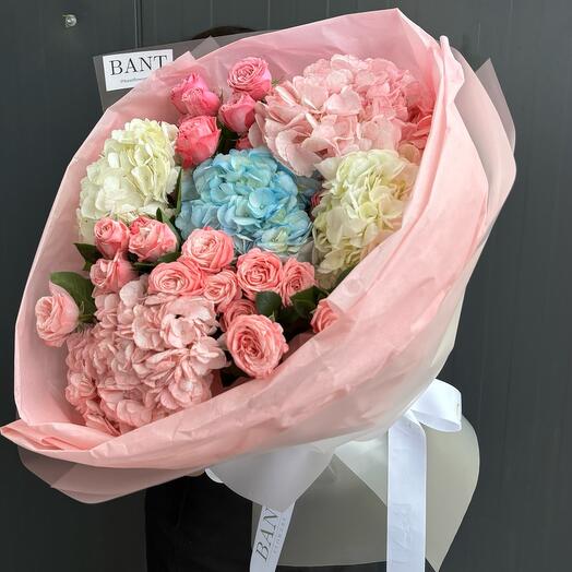 Hydrangeas+ shrub roses