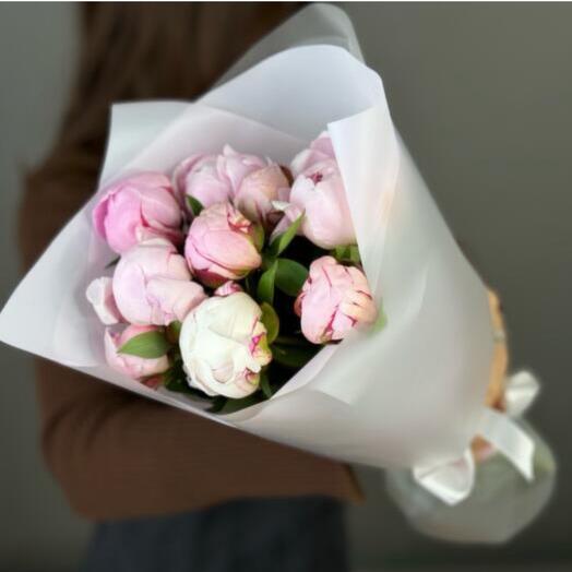 Пионы 9 штук 💞