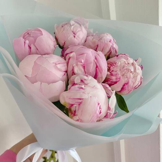 Пионы Голландия 7 цветов сорта Сара Бернарз