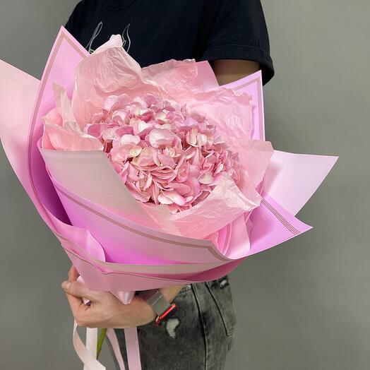 Hydrangea in a package