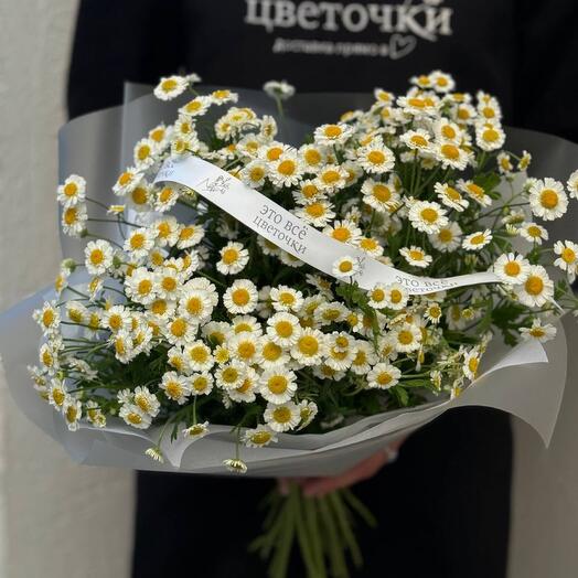 Ромашки
