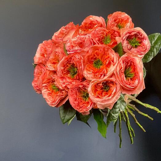 Rose mandarin express (15)