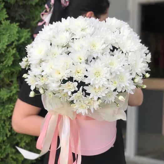 Chrysanthemum in a box