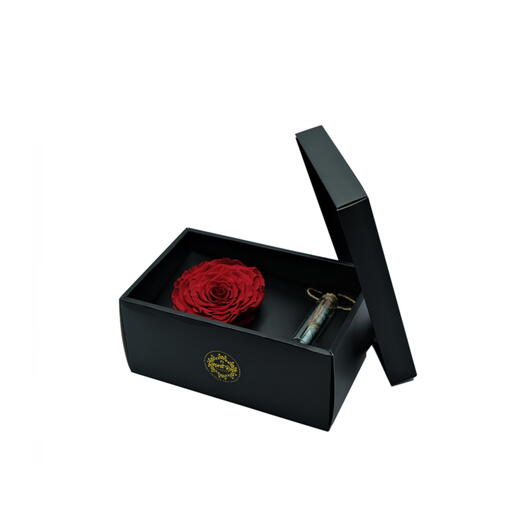 Red Infinity Rose in a Signature Box with a Message Bottle