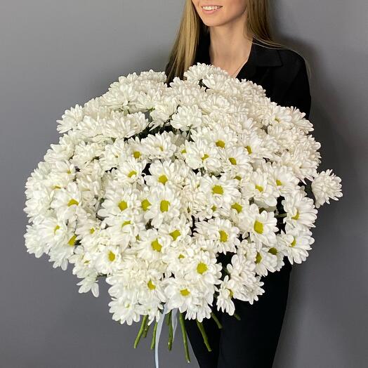АКЦИЯ! Большой букет ромашек (31 шт)