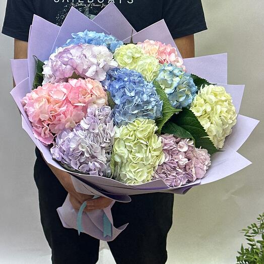 Bouquet of 11 hydrangeas with ribbon