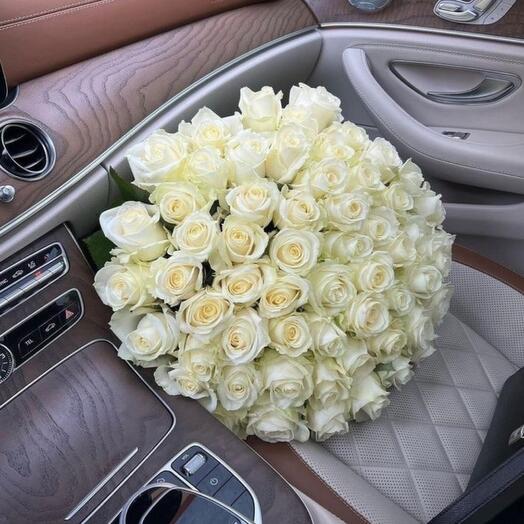 51 Роза Blanc