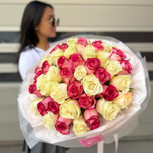 51 Голоандская Роза