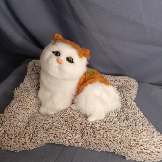 Игрушка Поющая кошка