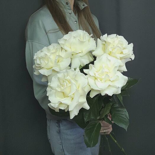 Rosas francesas 5 piezas