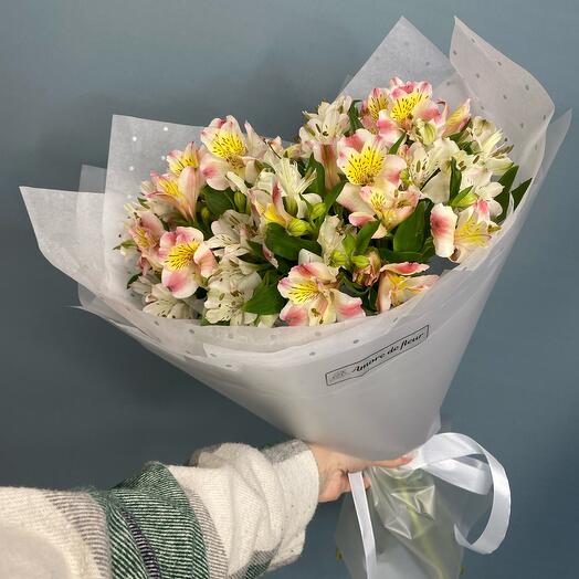 Mono-resistant alstroemeria
