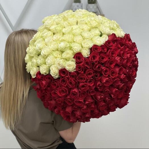 Белая и красная роза 201 штука