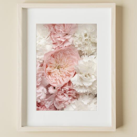 Light Pink Mayfield Rose and White Carnations - Photography Print