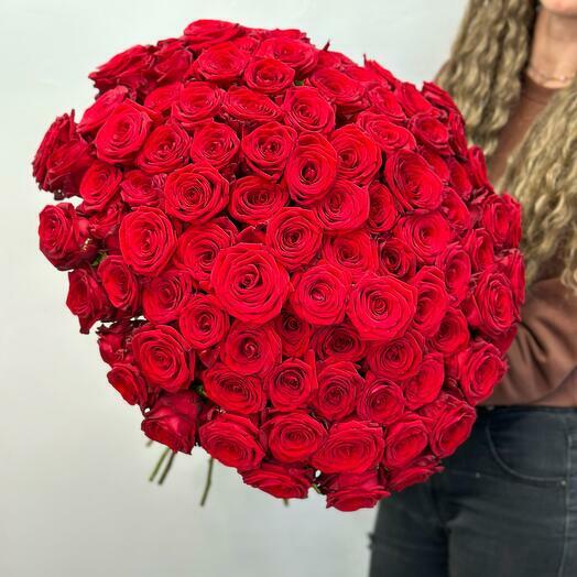 Amazing red roses