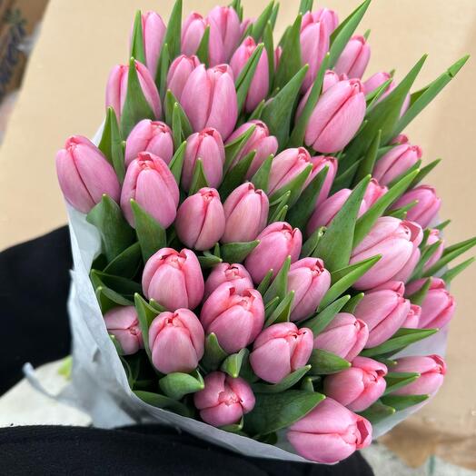 Tulips pink 35 stems