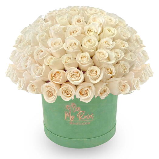 Light Green Velvet Box With 50 White Roses