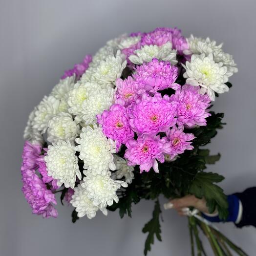 Букет из хризантемы (11шт)