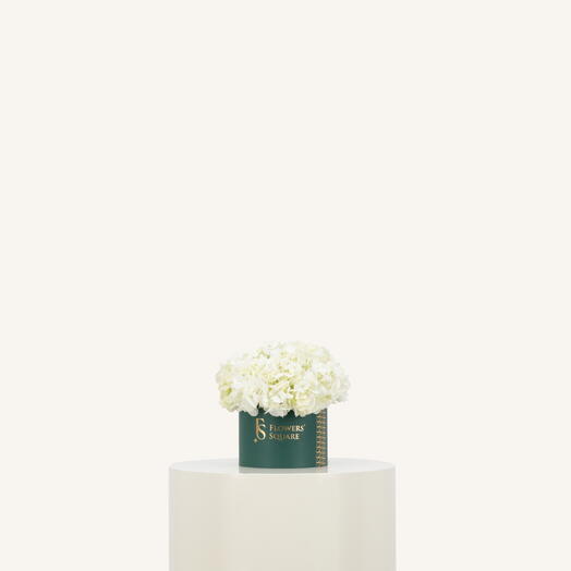 White Hydrangea Box Small