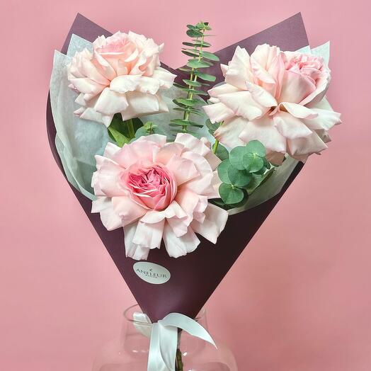 Pink O Hara (3)