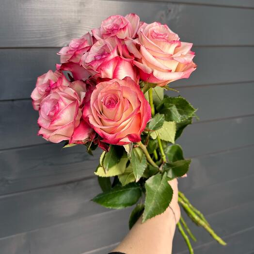 7 Ecuadorian roses
