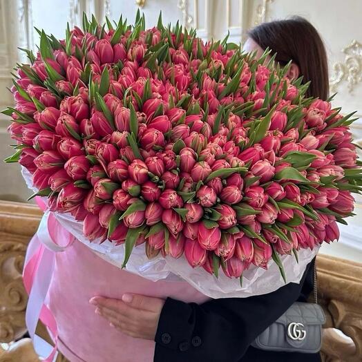 Коробка из 301 пионовидного тюльпана "Колумбус"