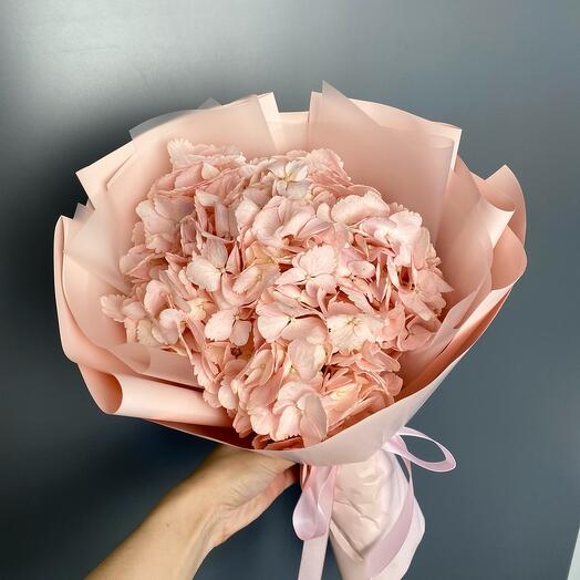 Hortensia rosa en paquete
