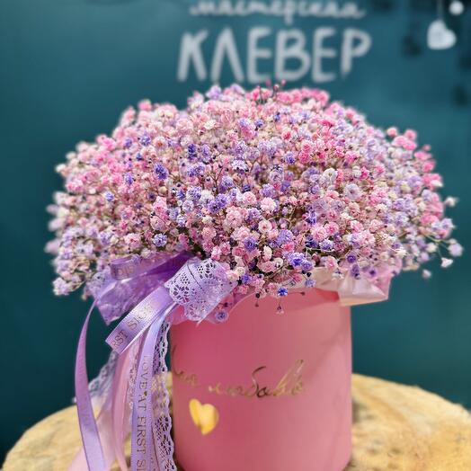 Розовая гипсофила