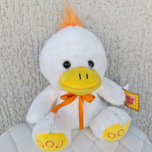 Белый утенок с хохолком