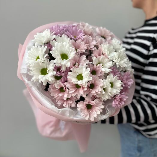 Нежные ромашковые хризантемы