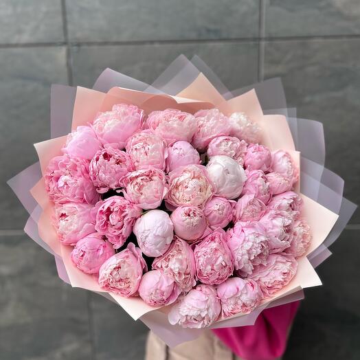 Букет 35 пионов Сара Бернар в нежном оформлении
