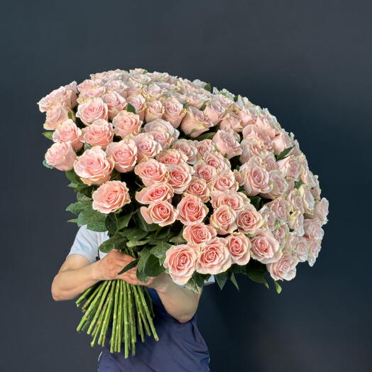 101 метровая роза сорта pink mondoal