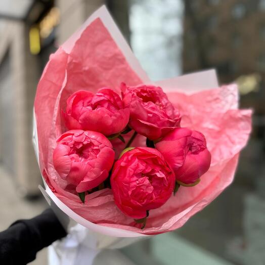 5 bright CORAL CHARM Peonies
