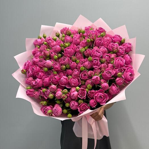 Мисти баблс 29