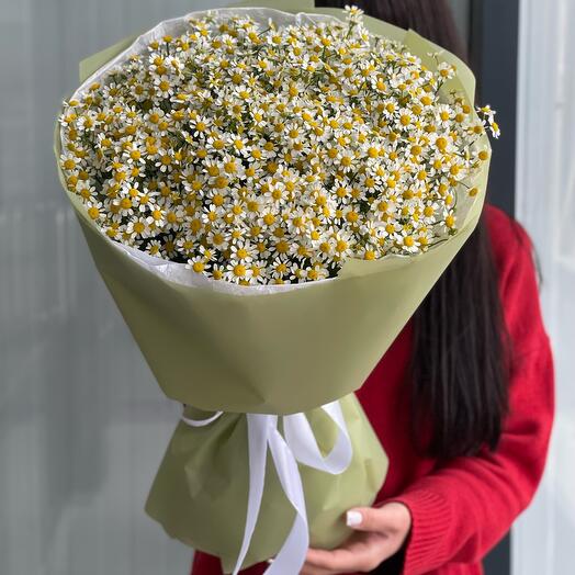 Букет нежных ромашек