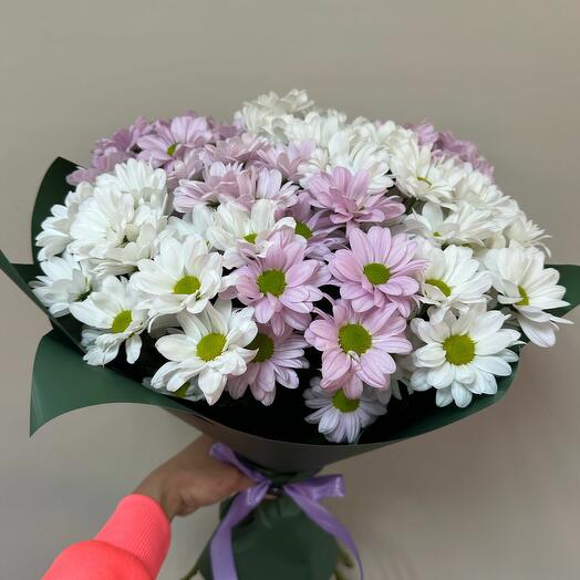 9 розово-белых кустовых хризантем в упаковке