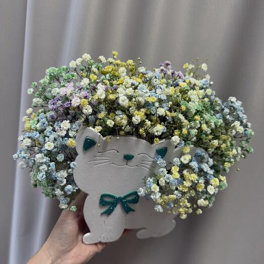Котик