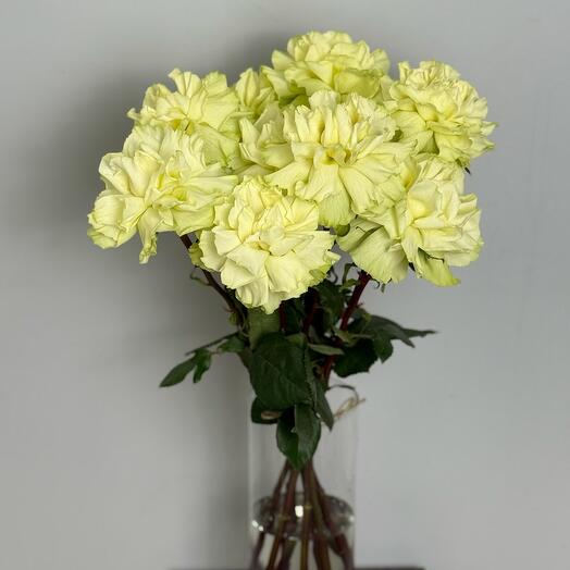 Французкая роза для вашей вазы 🔥👌