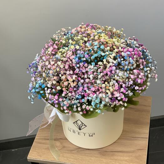 Гипсофила в коробке