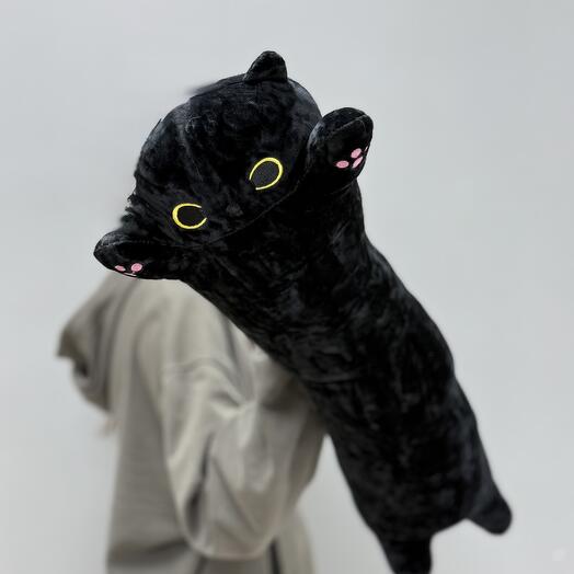 Кот чёрный