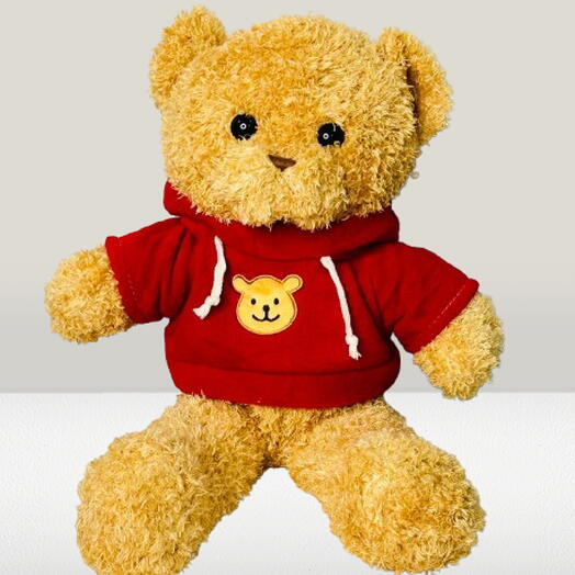 Surprise Teddy Bear Random color