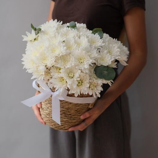 Хризантемы в корзинке