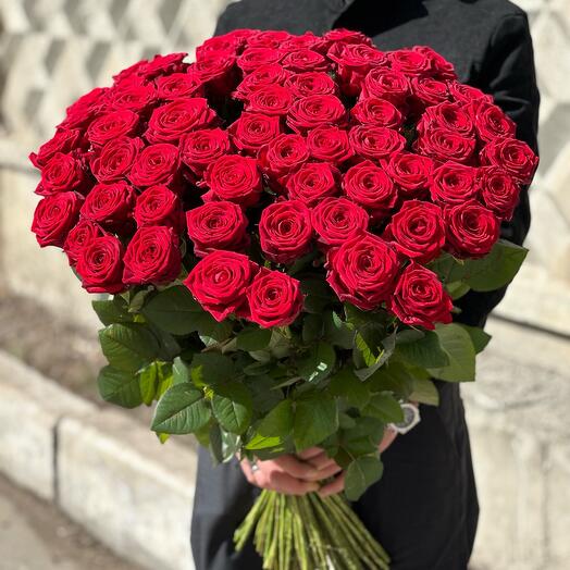 Роза Голландия 51 штук 80 см