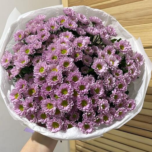Сантини 💜