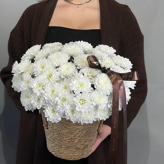 Цветы Букет Art Flowers Кустовые хризантемы в кашпо 7 шт