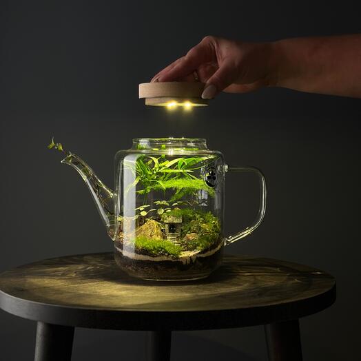 Флорариум Чайник с подсветкой 🌟🪆Русская Коллекция🪆🌟